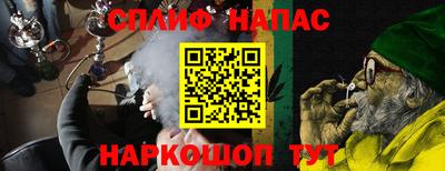 МДПВ Камышлов