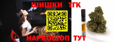 МДПВ Камышлов