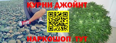 МДПВ Камышлов
