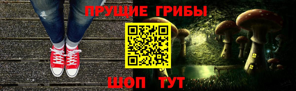 наркота  Вход с VPN  Вологда  Псилоцибиновые грибы прущие грибы 